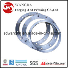 Japan Mill Certificate Stainless Steel Plate Flange